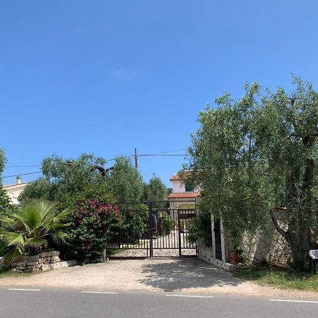 Villa Monica Appartamenti Вьесте Экстерьер фото